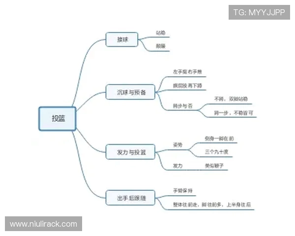 从零基础到篮球高手的全面训练指南与实战技巧分享
