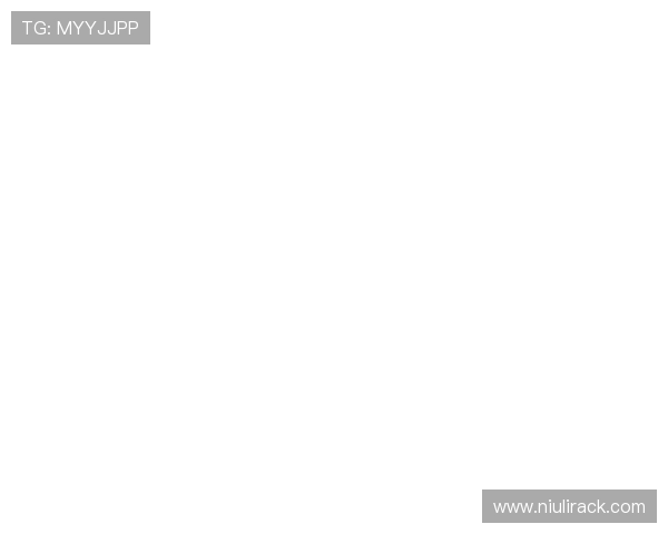 Bin上单全面崛起引领赛场风暴助力团队重回巅峰荣耀之路