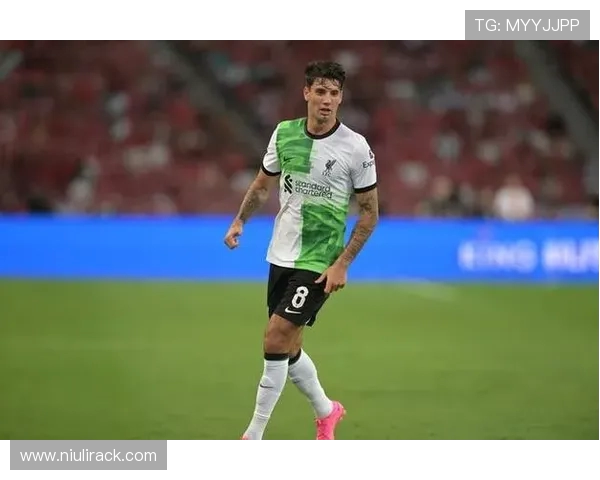 布鲁诺费尔南德斯全面解析葡萄牙中场核心的技术与影响