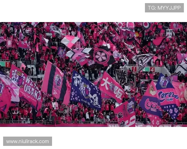 2019年大阪樱花与磐田喜悦激战回顾精彩瞬间与赛季亮点分析